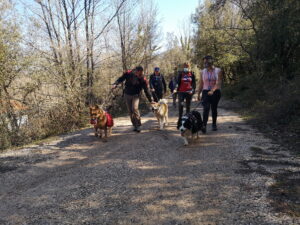 DogWalking25Aprile14