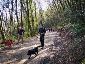 DogWalking25Aprile17