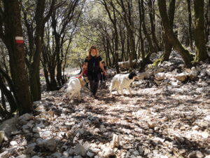 DogWalking25Aprile47